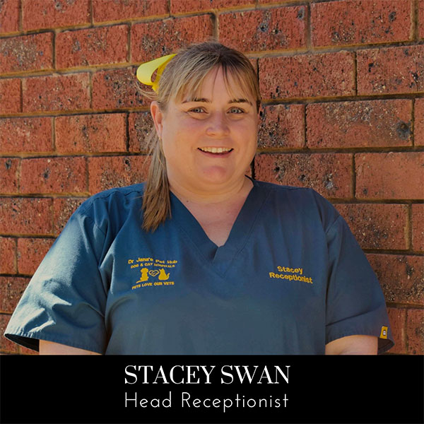 Image of team member Stacey