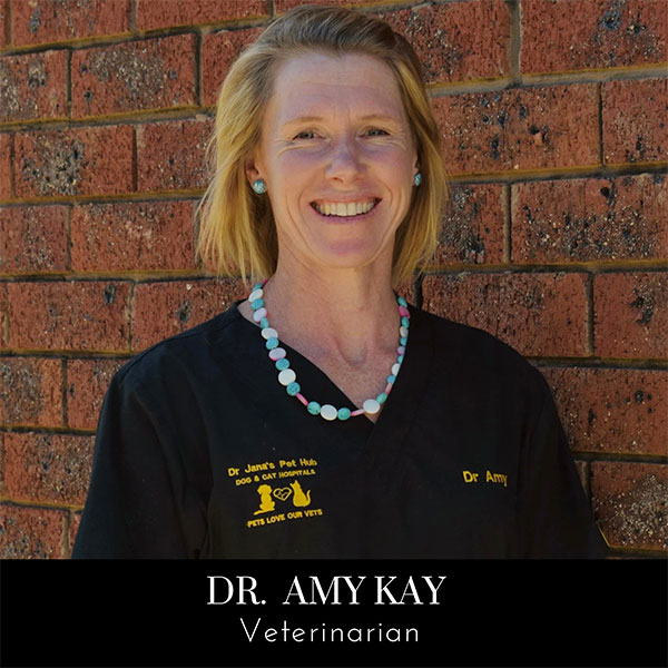 Image of team member Amy