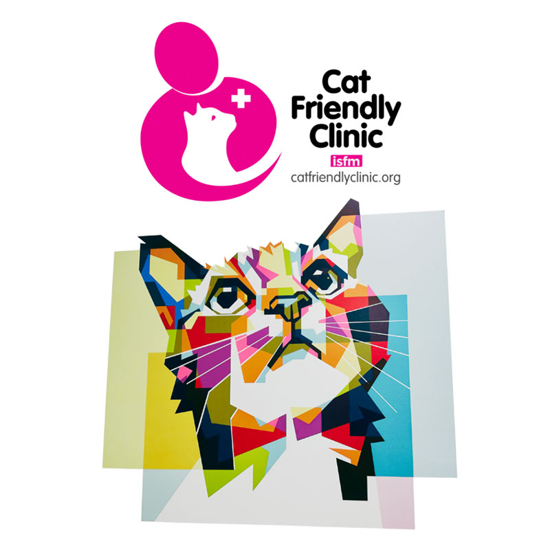 Image of cat clinic poster