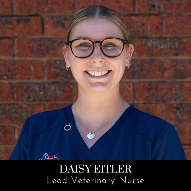 Image of team member Daisy