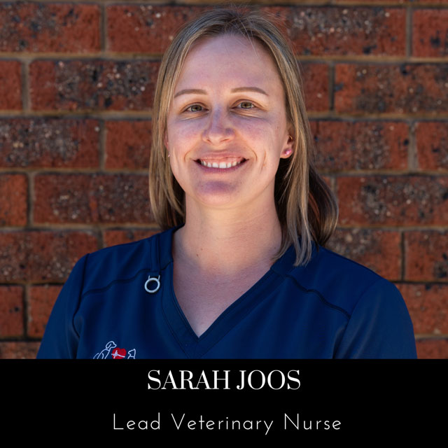 Image of team member Sarah