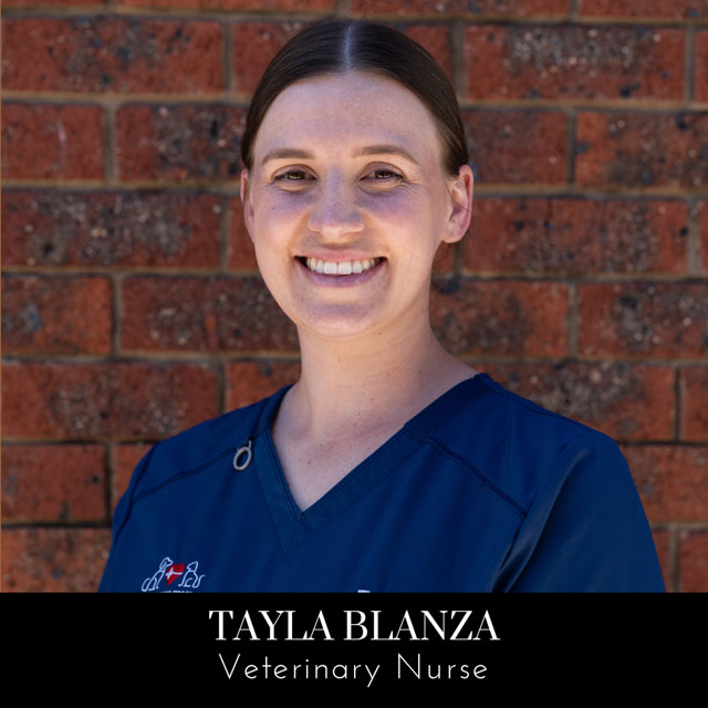 Image of team member Tayla