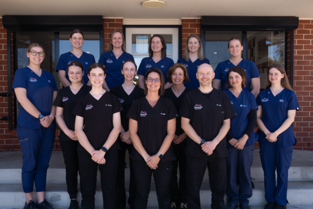 Image of Albury Animal Hospital team