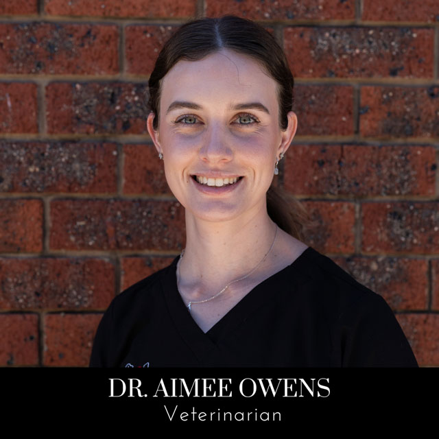 Image of team member Aimee