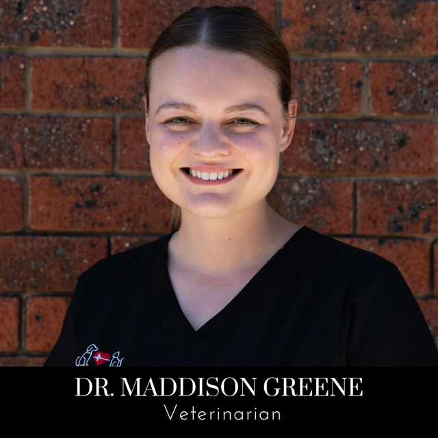 Image of team member Maddison