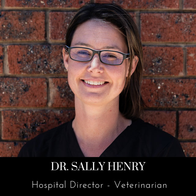 Image of team member Sally