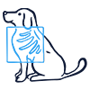 Pet imaging icon