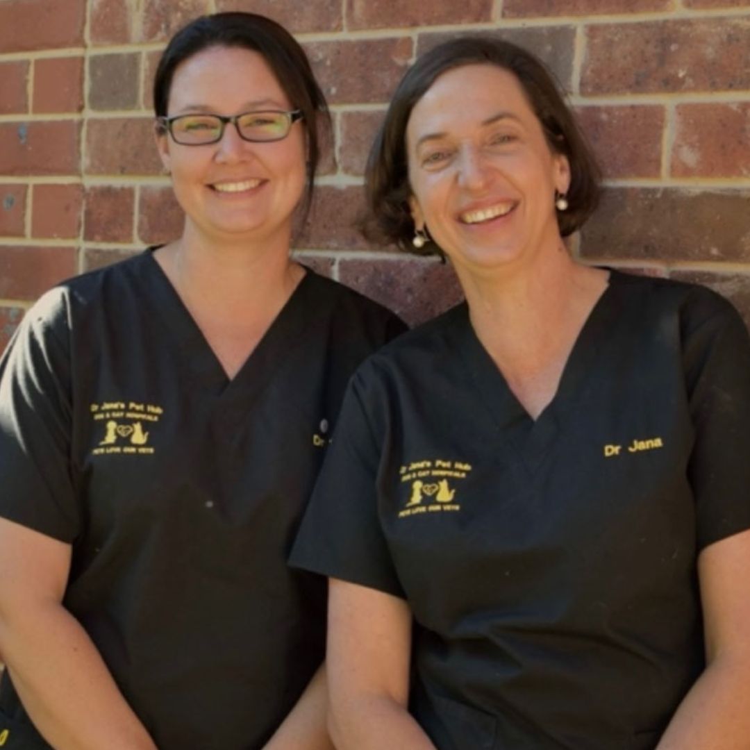 Two women smiling vets