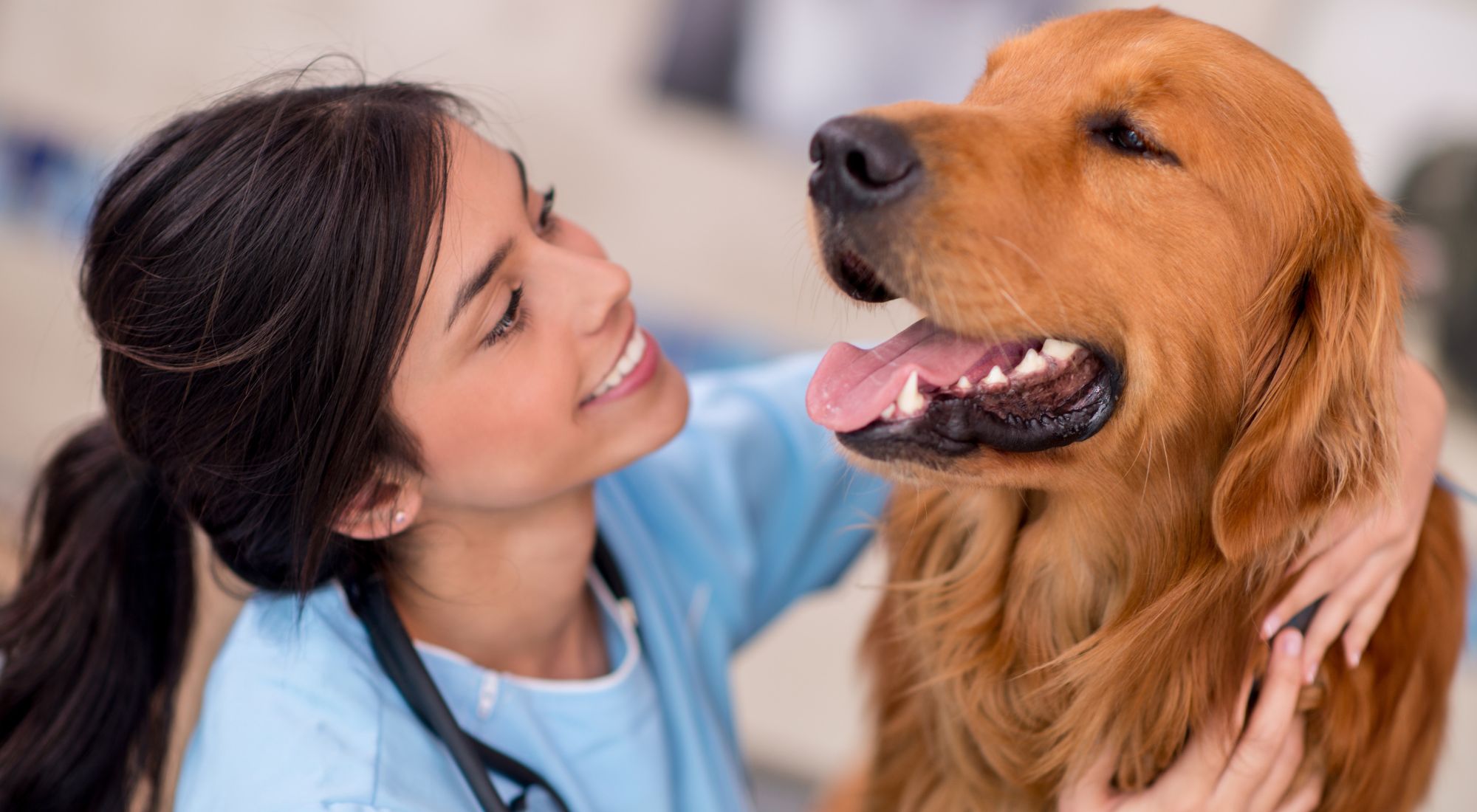 Veterinarian smiling at dog